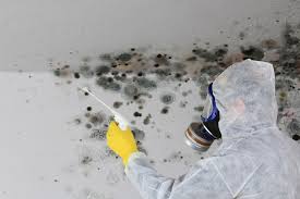 Best Crawl Space Mold Remediation  in Pendleton, OR